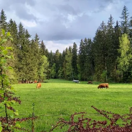 Holiday home U Lesa Lipno *