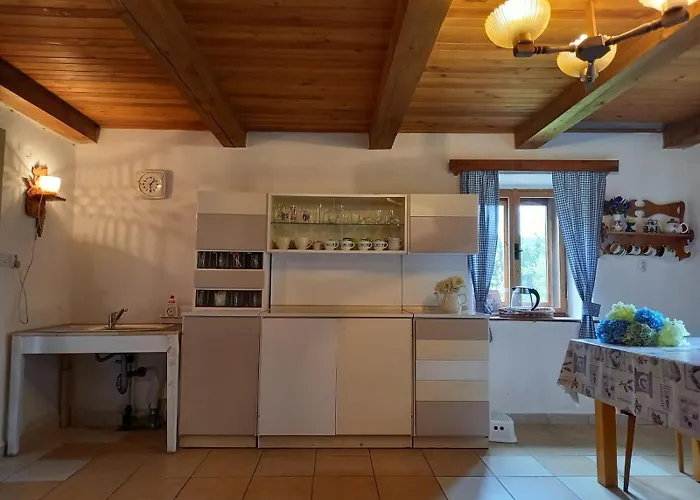 U Lesa Lipno Frymburk