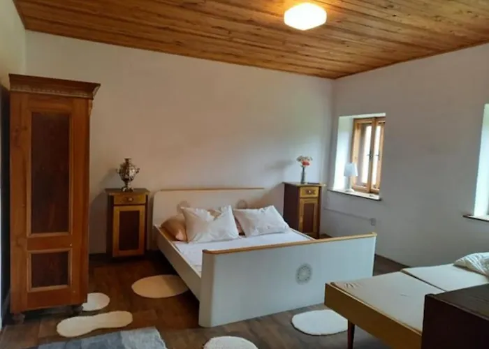 U Lesa Lipno Dom wakacyjny