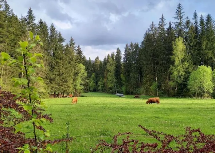 Dom wakacyjny U Lesa Lipno *